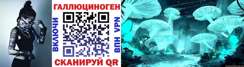 Псилоцибиновые грибы GOLDEN TEACHER  Багратионовск 